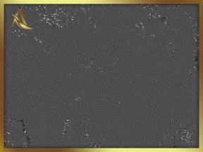 Milet-705x705 | Granit Tezgah Ankara